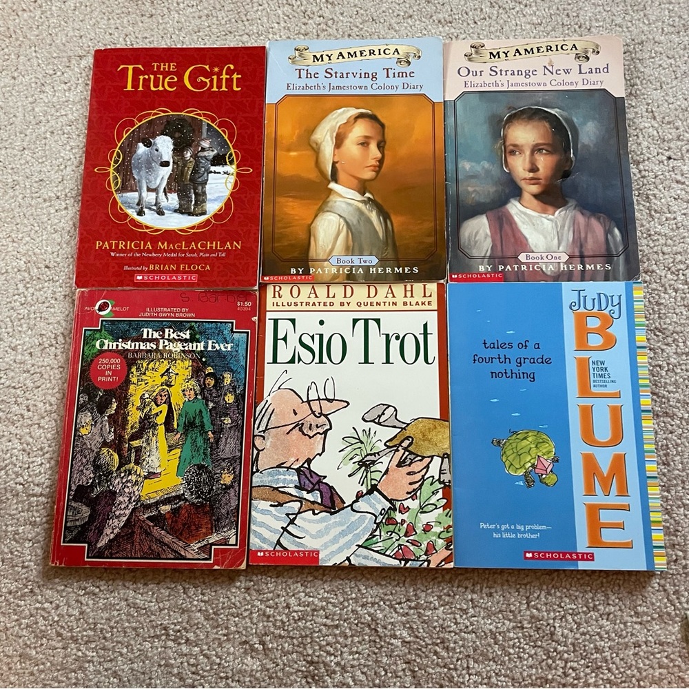6 Book Bundle Kids Chapter Books